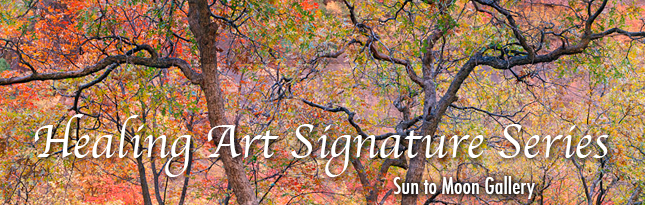 Healing Art Signature Series by Sun to Moon Gallery… Fine Prints Signed by the Photographers 