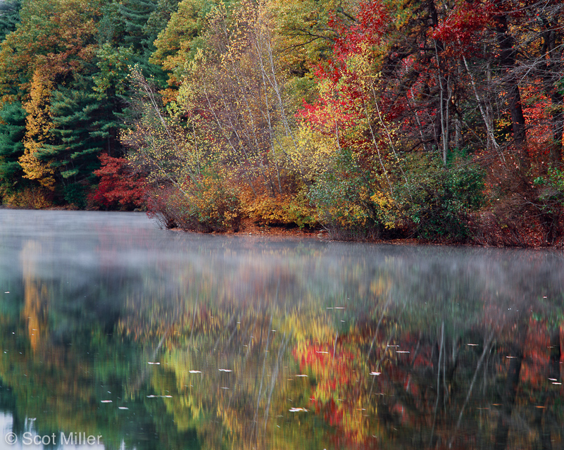 1058ScotMIller_Walden_Pond_reflect