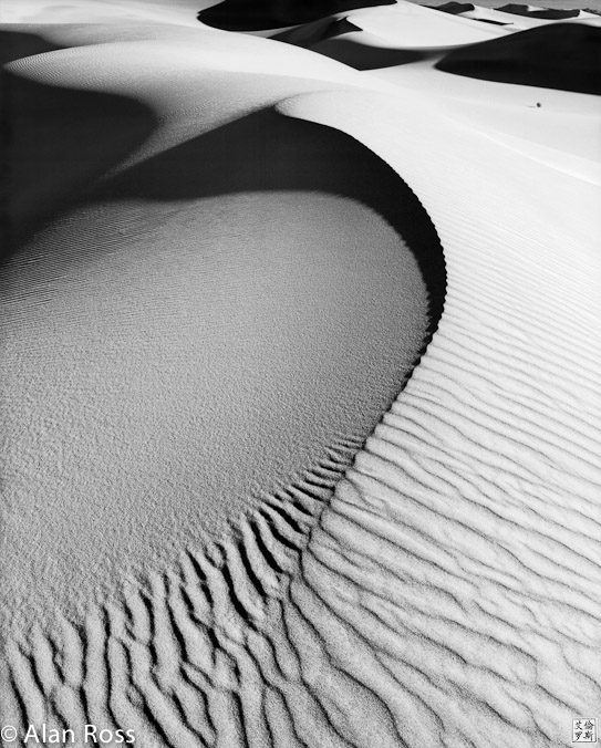 A_Ross_Curved Dune