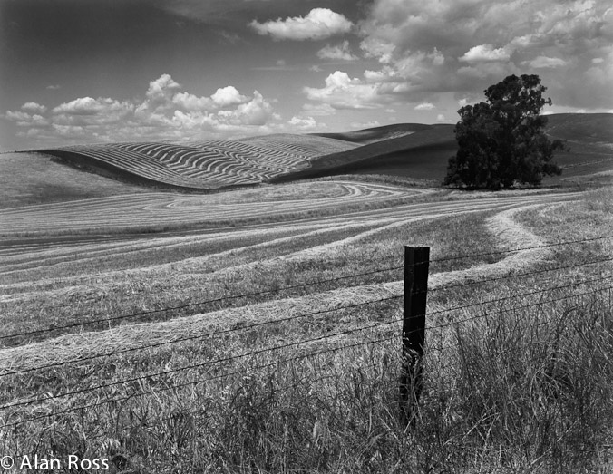 A_Ross_Fence and Fields