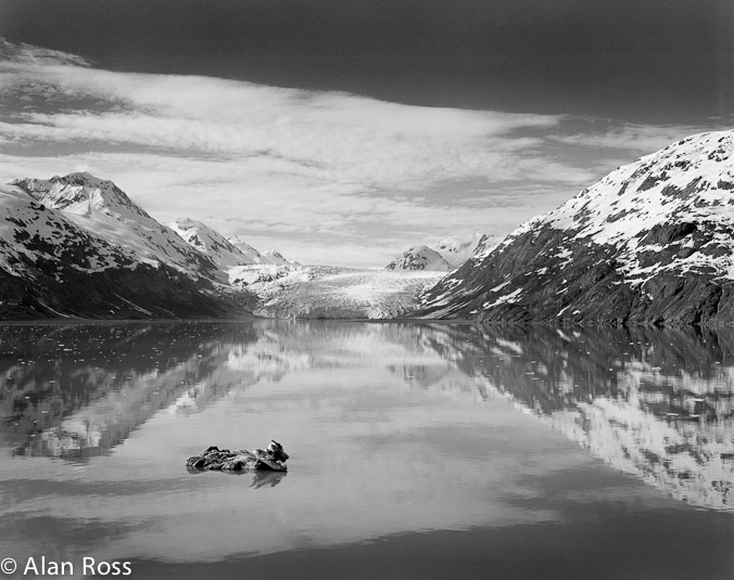 A_Ross_Glacier Bay