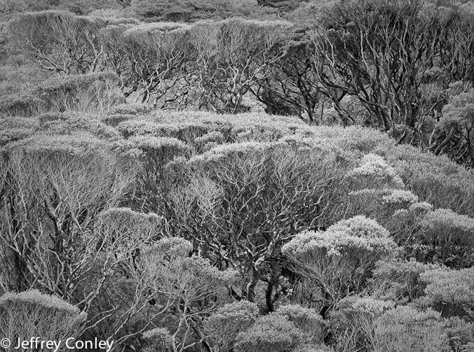 jeffrey_conley_tasman_coast_nz