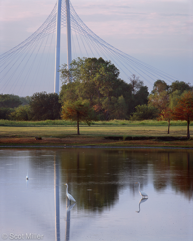 1333scotmiller_calatrava_bridge