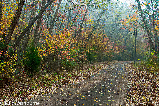 Washburne_01_Autumn_Morning