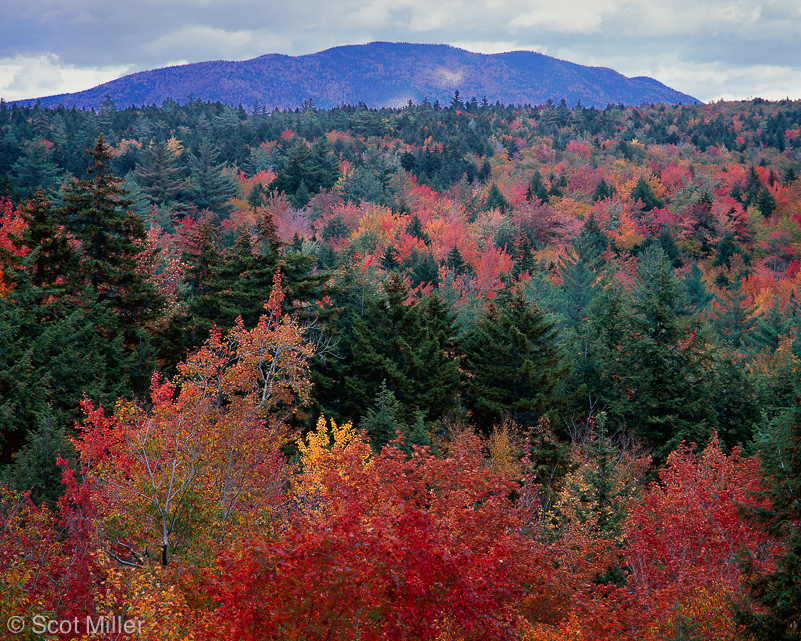 191ScotMiller_NH_fall_landsape