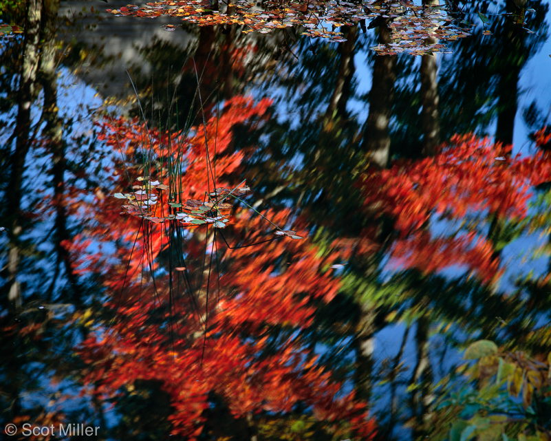 525ScotMiller_ME_red_reflections
