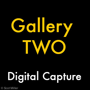 Gallery_TWO_Digital