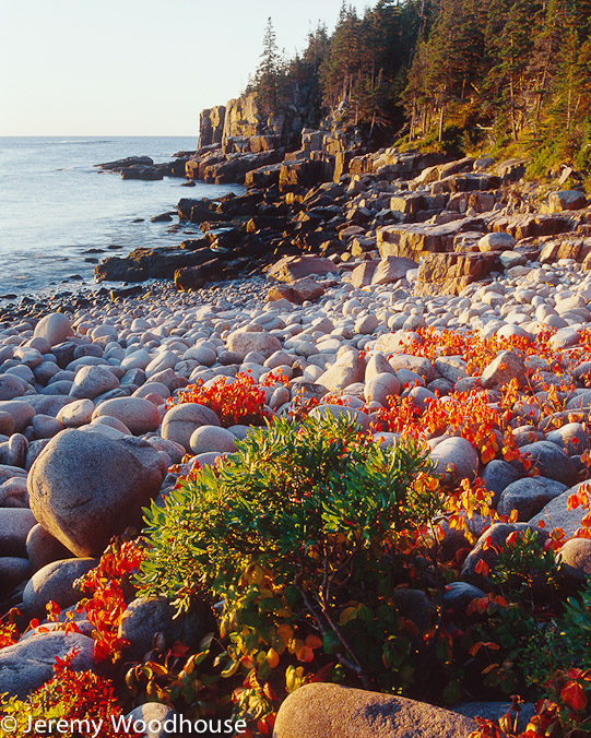 otter_cliffs_dawn