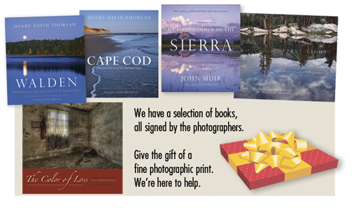 Books for sale at Sun to Moon Gallery