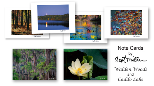 Note Cards by Scot Miler make great gifts, at Sun to Moon Gallery