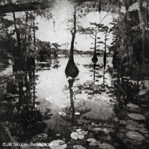 Fine photographic print of Caddo Lake by Jill Skupin Burkholder, at Sun to Moon Gallery, Dallas, TX – Partial sale proceeds benefit Caddo Lake Institute 