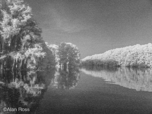 Fine photographic print of Caddo Lake by Alan Ross, at Sun to Moon Gallery, Dallas, TX – Partial sale proceeds benefit Caddo Lake Institute 