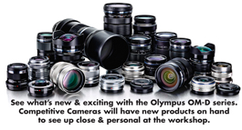 Olympus lens system