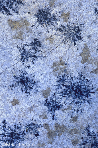 Yosemite fine print by Mike Osborne, at Sun to Moon Gallery, Dallas, TX