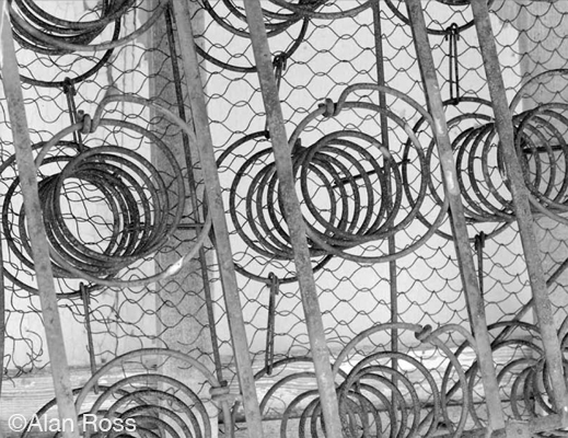 Fine gelatin silver print by Alan Ross, available at Sun to Moon Gallery, Dallas 