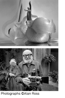 Alan Ross photographic prints at Sun to Moon Gallery