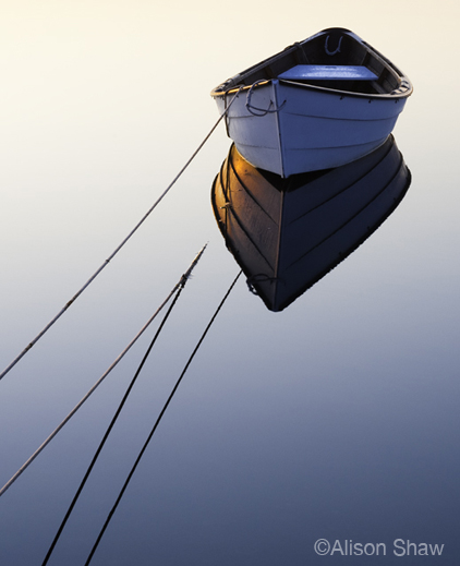 Fine photographic print by Alison Shaw, available at Sun to Moon Gallery