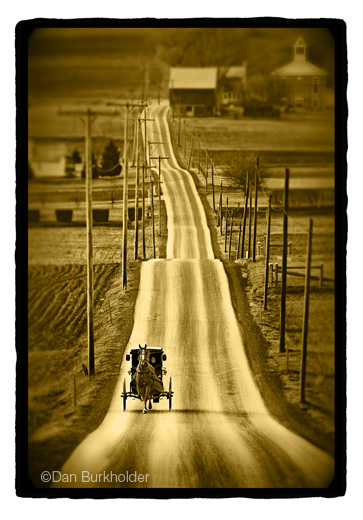 Dan Burkholder Gold image