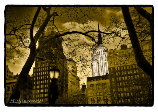 Dan Burkholder Gold image