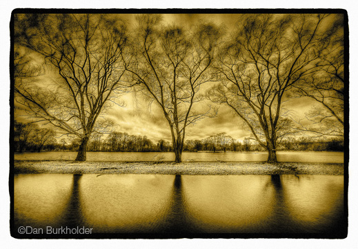 Dan Burkholder Gold image