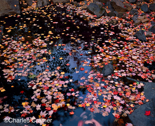 photograph ©Charles Cramer