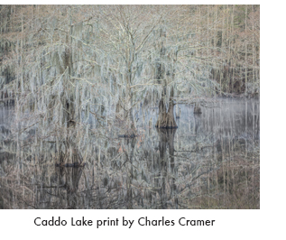 Caddo Lake fine print by Charles Cramer, at Sun to Moon Gallery