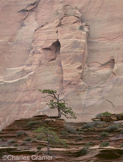 photo ©Charles Cramer