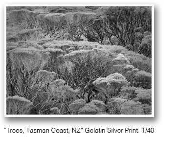 Fine gelatin silver print by Jeffrey Conley, at Sun to Moon Gallery, Dallas, TX