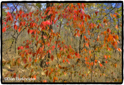 FIne photographic print by Dan Burkholder, at Sun to Moon Gallery, Dallas, TX