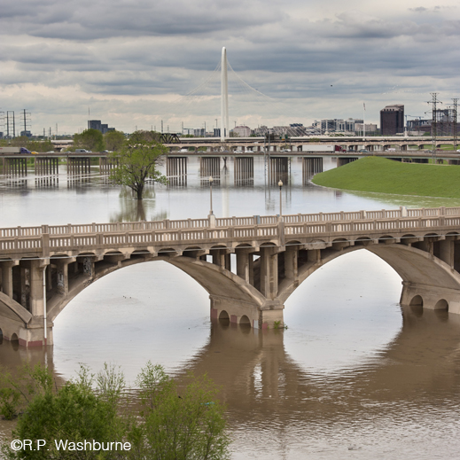 FIne photographic print of Trinity River bridges by R.P. Washburne, at SUn to Moon Gallery, Dallas, TX