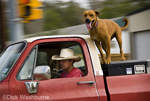 Texas fine photographic print by R.P. Washburne, at Sun to Moon Gallery, Dallas, Texas 