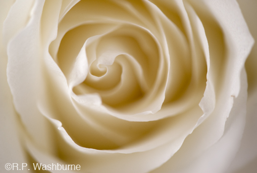 Fine photographic print by R.P. Washburne, at Sun to Moon Gallery, Dallas, TX