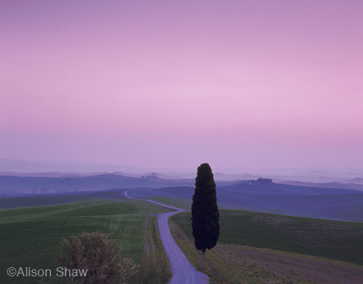 scany fine photogaphic print by Alison Shaw, at Sun to Moon Gallery