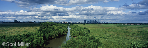 Fine photographic print of the Great Trinity Forest, at Sun to Moon Gallery