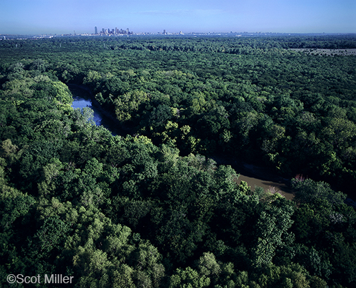 Fine photographic print of the Great Trinity Forest by Scot Miller, at Sun to Moon Gallery