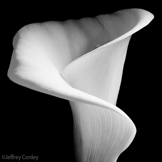 Fine Gelatin Silver Print by Jeffrey Conley, available at Sun to Moon Gallery, Dallas, TX