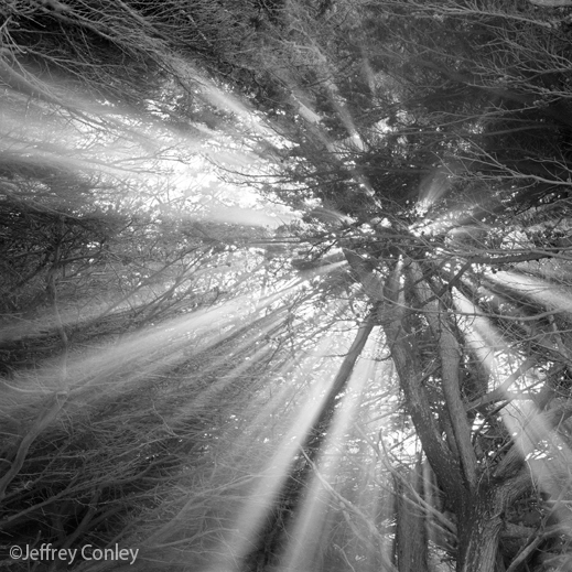 Fine Gelatin Silver Print by Jeffrey Conley, available at Sun to Moon Gallery, Dallas, TX