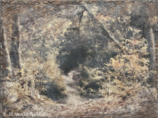 Photograph &copy; Jill Skupin Burkholder, availavle at Sun to Moon Gallery