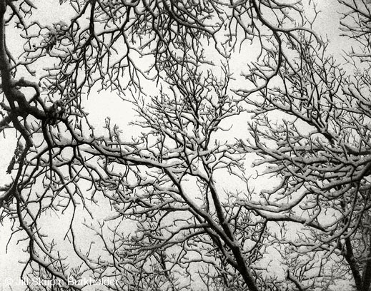 Photograph &copy; Jill Skupin Burkholder, availavle at Sun to Moon Gallery