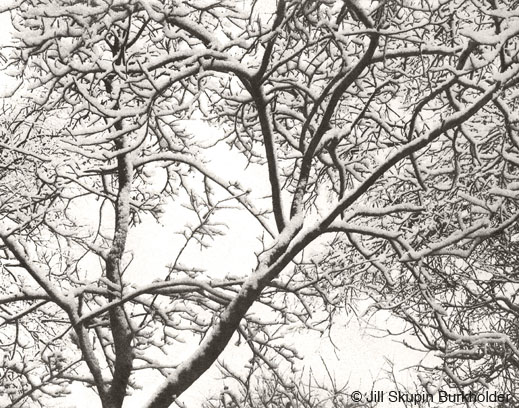 Photograph &copy; Jill Skupin Burkholder, availavle at Sun to Moon Gallery
