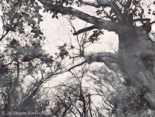 Photograph © Jill Skupin Burkholder, availavle at Sun to Moon Gallery