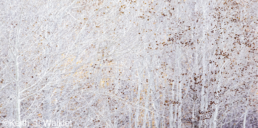 A fine photographic print by Keith S. Walklet, at Sun to Moon Gallery, Dallas, TX