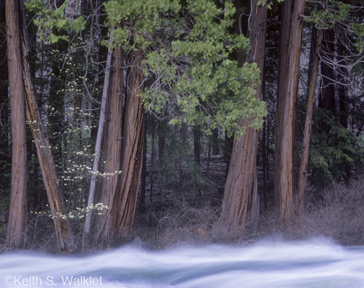 Fine photographic print by Keith S. Walklet, at Sun to Moon Gallery, Dallas, TX