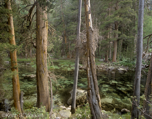 A fine photographic print by Keith S. Walklet, at Sun to Moon Gallery, Dallas, TX