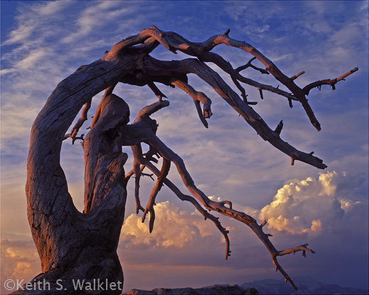 Photograph by Keith S. Walklet at Sun to Moon Gallery