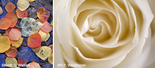Fine photographic prints by Keith S. Walklet & R.P Washburne, at Sun to Moon Gallery