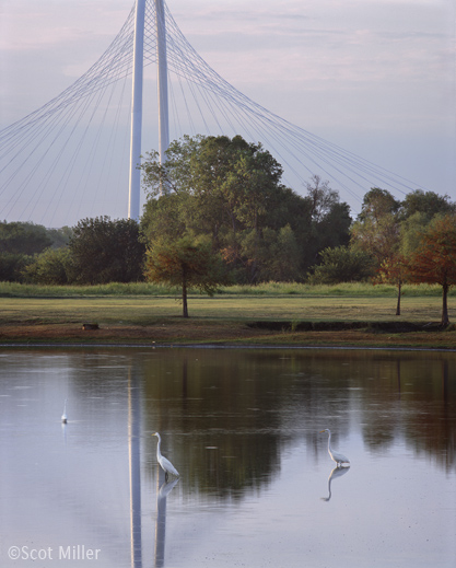 Photograph of the Margaret Hunt Hill Bridge, Dallas, TX by Scot Miller, fine prints available at Sun to Moon Gallery 