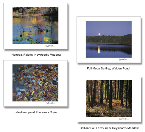 Walden Notecards by Scot Miller