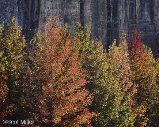 Fine photographic print by Scot Miller, at Sun to Moon Gallery, Dallas, TX