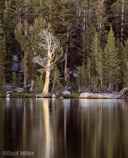 Fine photographic print by Scot Miller, at Sun to Moon Gallery, Dallas, TX